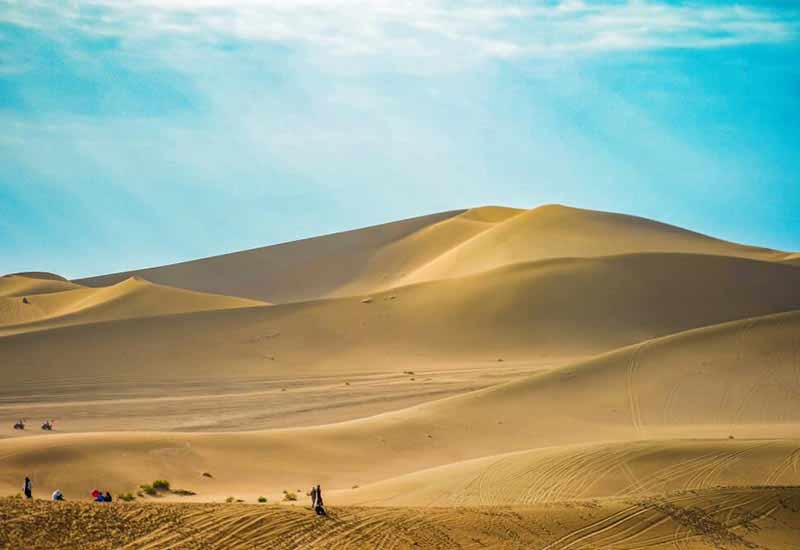 青海湖+西藏林芝生态度假6日游