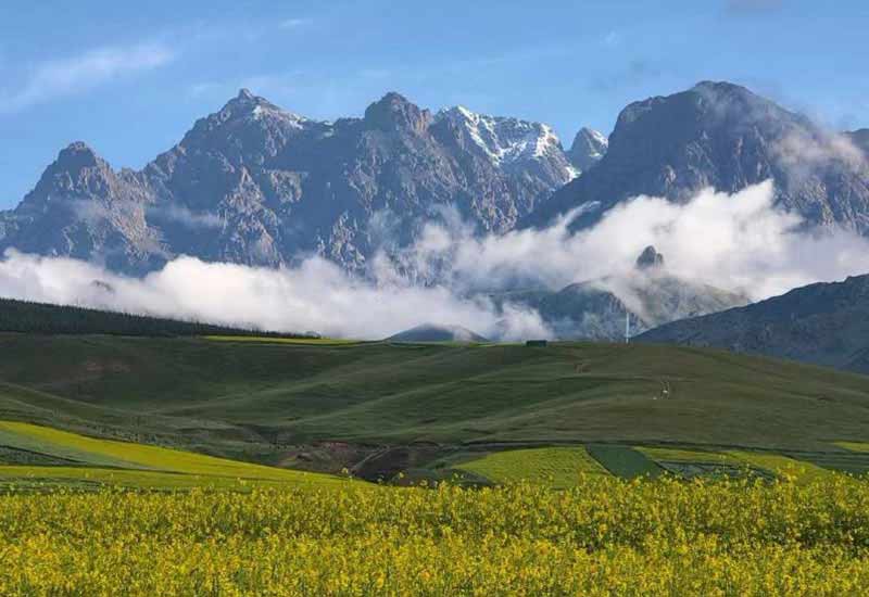 青海湖+西藏林芝生态度假6日游