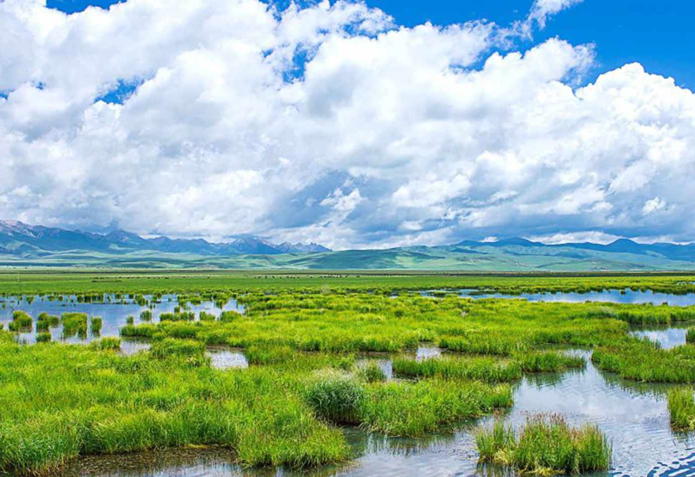 青海可可西里+昆仑山秘境6日摄影团