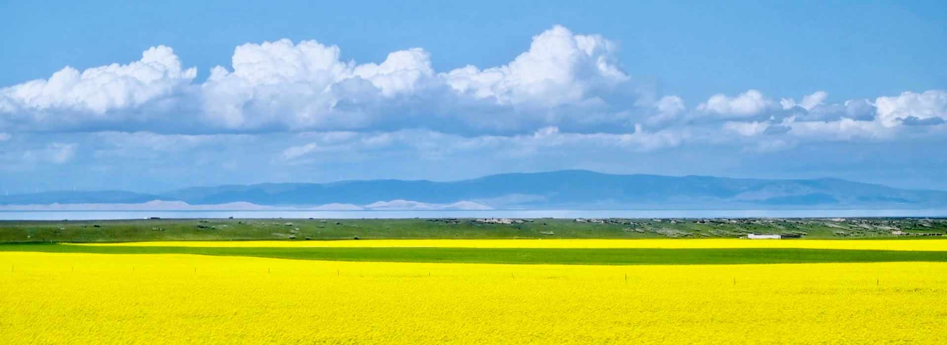 云关悦国际旅行社