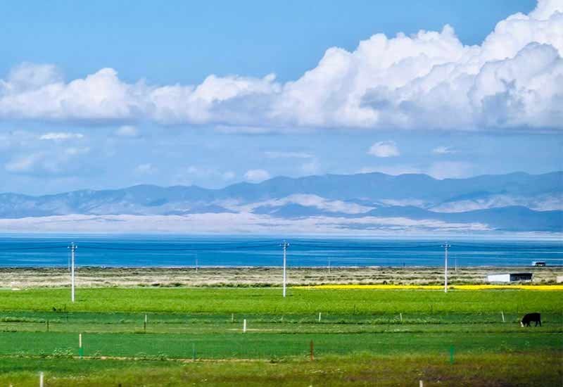青海湖+西藏林芝生态度假6日游