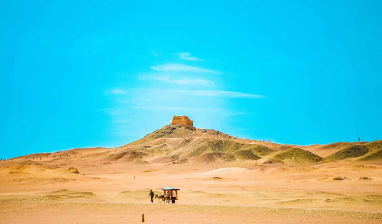 陕西历史博物馆授予我社“最佳文化传播伙伴”