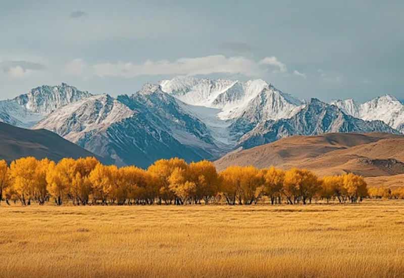 青海湖+西藏林芝生态度假6日游
